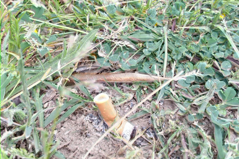 Permalink to Aires de picnic Aires de picnic