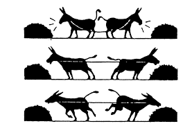 Semana del conflicto