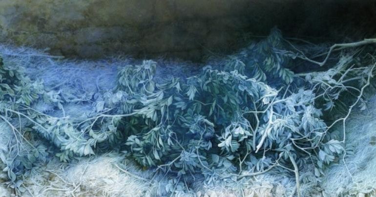 Permalink to peripateticos peripateticos