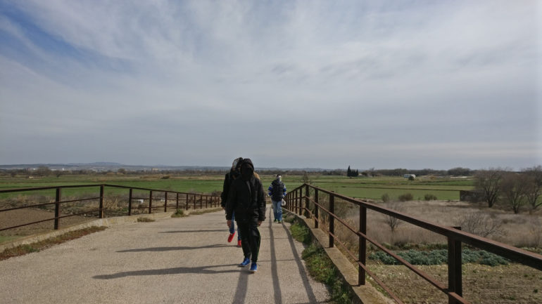 Camino de la olivera