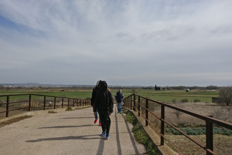 Permalink to Camino de la olivera Camino de la olivera