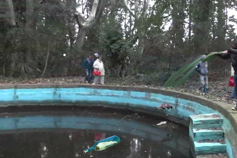 Permalink to Bosquecillo de bambúes del Aula Dei Bosquecillo de bambúes del Aula Dei