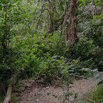 NATURALEZA Y ENTORNO